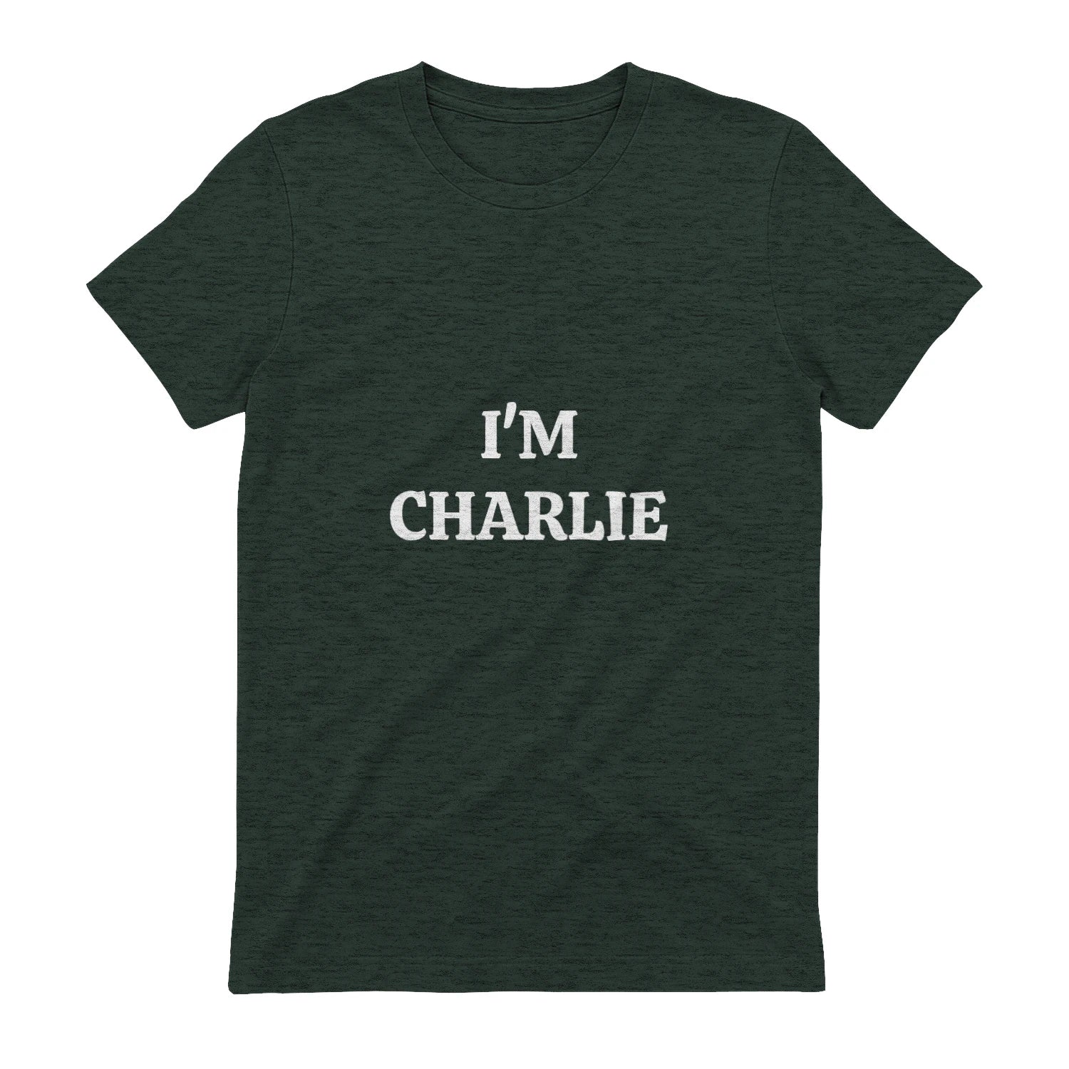 {"origin":"mayzing","colors":["Forest Green","Forest Green","Forest Green","Forest Green","Forest Green"],"sizes":["2XL","XL","L","M","S"],"isMainImage":true}